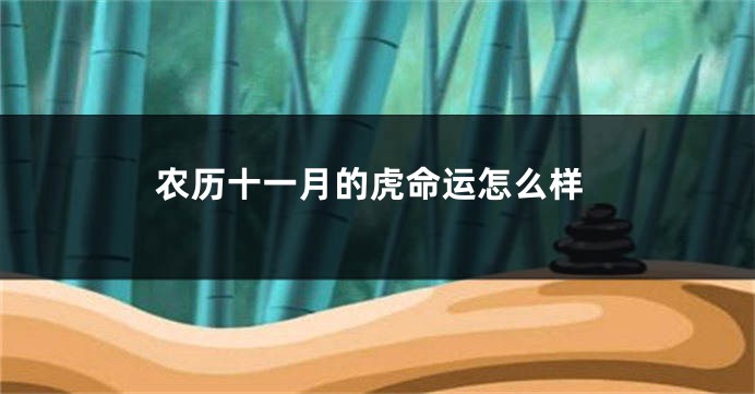 农历十一月的虎命运怎么样