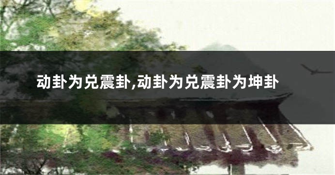 动卦为兑震卦,动卦为兑震卦为坤卦