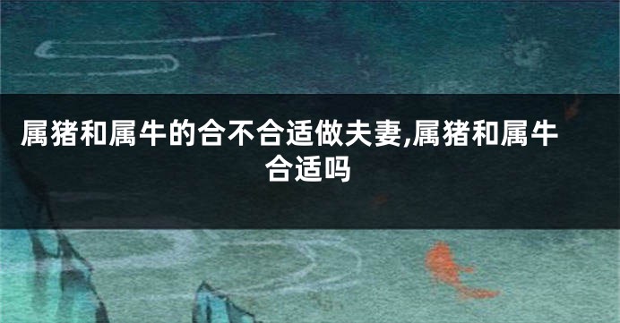 属猪和属牛的合不合适做夫妻,属猪和属牛合适吗