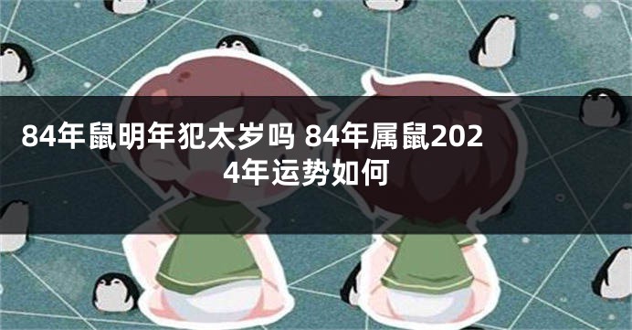 84年鼠明年犯太岁吗 84年属鼠2024年运势如何