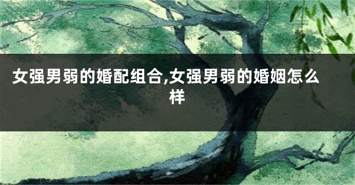 女强男弱的婚配组合,女强男弱的婚姻怎么样