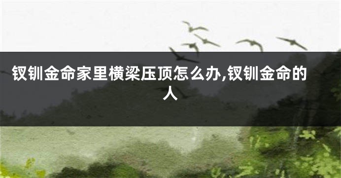 钗钏金命家里横梁压顶怎么办,钗钏金命的人