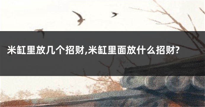 米缸里放几个招财,米缸里面放什么招财?