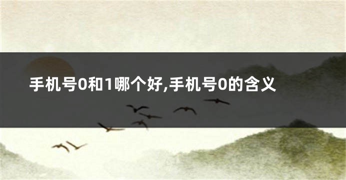 手机号0和1哪个好,手机号0的含义