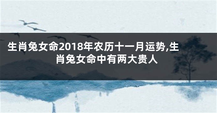 生肖兔女命2018年农历十一月运势,生肖兔女命中有两大贵人