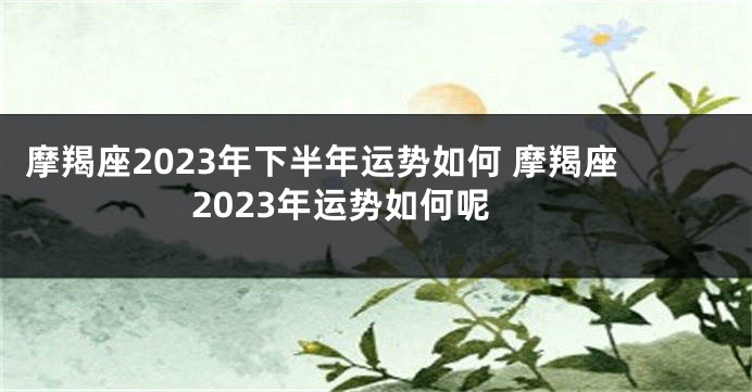 摩羯座2023年下半年运势如何 摩羯座2023年运势如何呢