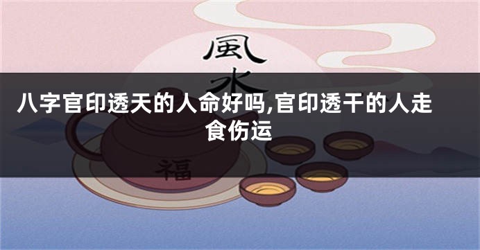 八字官印透天的人命好吗,官印透干的人走食伤运