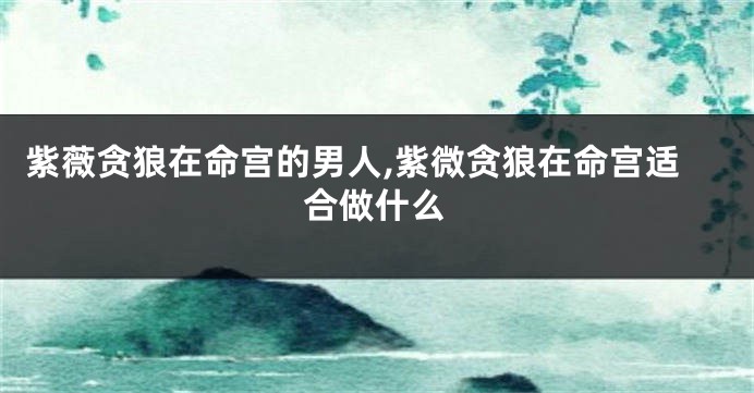 紫薇贪狼在命宫的男人,紫微贪狼在命宫适合做什么