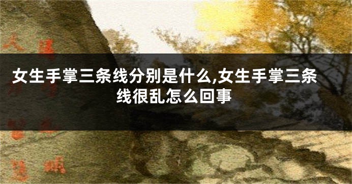 女生手掌三条线分别是什么,女生手掌三条线很乱怎么回事