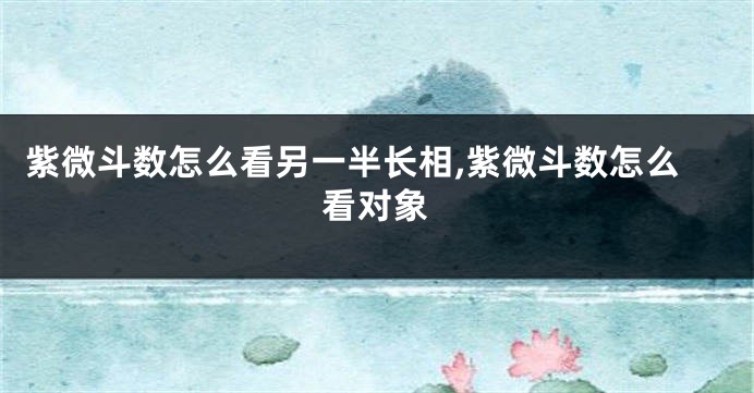 紫微斗数怎么看另一半长相,紫微斗数怎么看对象