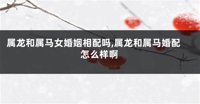 属龙和属马女婚姻相配吗,属龙和属马婚配怎么样啊