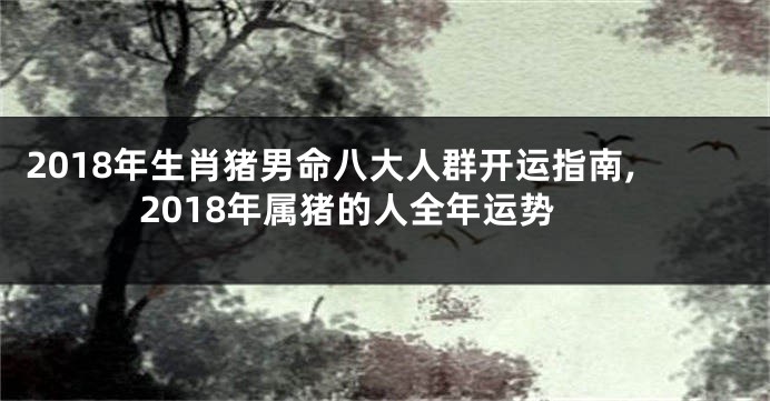 2018年生肖猪男命八大人群开运指南,2018年属猪的人全年运势
