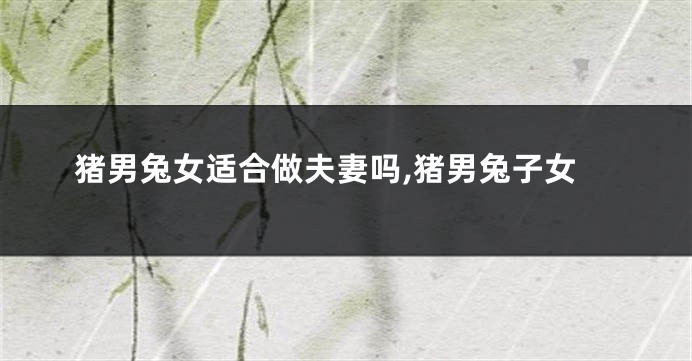 猪男兔女适合做夫妻吗,猪男兔子女