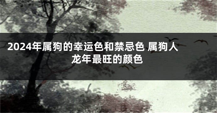 2024年属狗的幸运色和禁忌色 属狗人龙年最旺的颜色