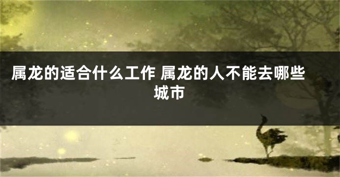 属龙的适合什么工作 属龙的人不能去哪些城市