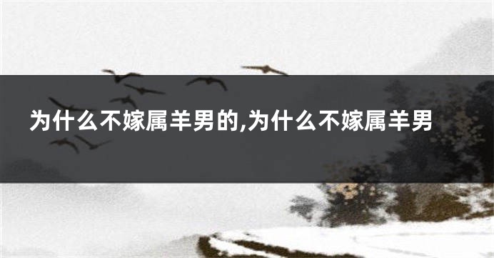 为什么不嫁属羊男的,为什么不嫁属羊男