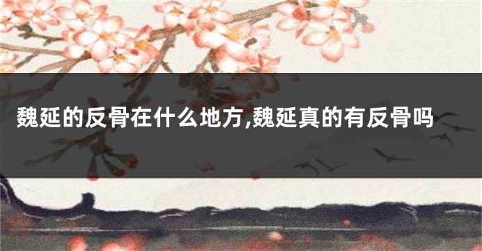 魏延的反骨在什么地方,魏延真的有反骨吗