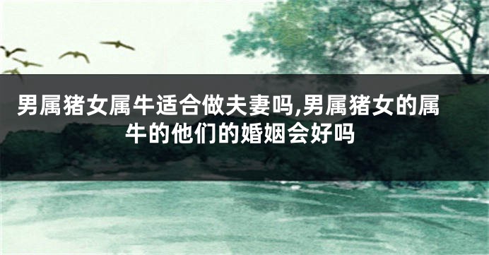 男属猪女属牛适合做夫妻吗,男属猪女的属牛的他们的婚姻会好吗