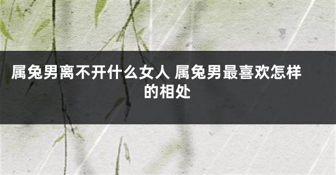属兔男离不开什么女人 属兔男最喜欢怎样的相处