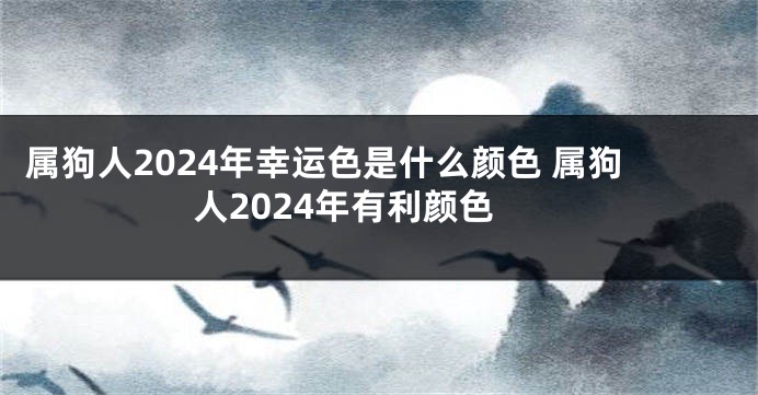 属狗人2024年幸运色是什么颜色 属狗人2024年有利颜色