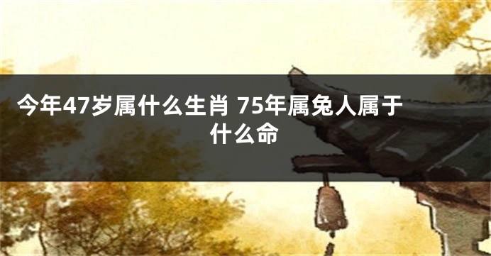 今年47岁属什么生肖 75年属兔人属于什么命