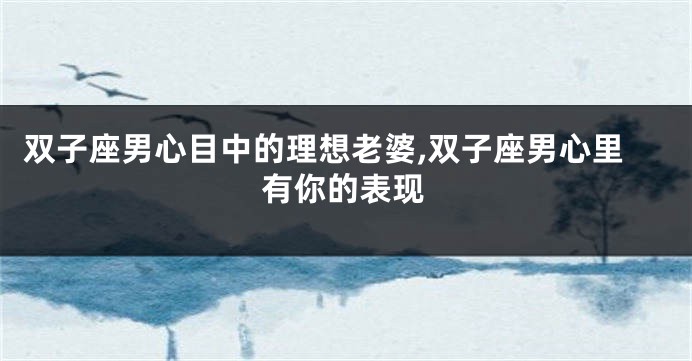 双子座男心目中的理想老婆,双子座男心里有你的表现