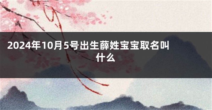 2024年10月5号出生薛姓宝宝取名叫什么