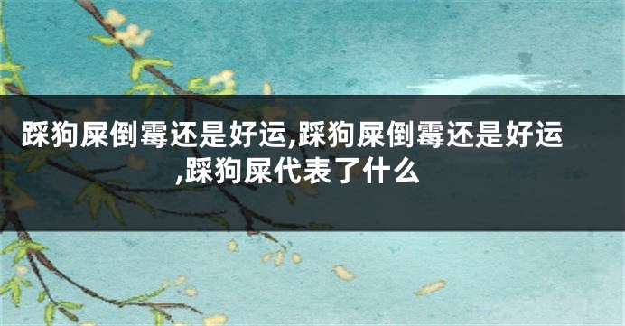 踩狗屎倒霉还是好运,踩狗屎倒霉还是好运,踩狗屎代表了什么