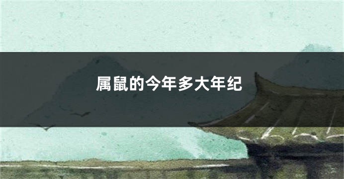 属鼠的今年多大年纪
