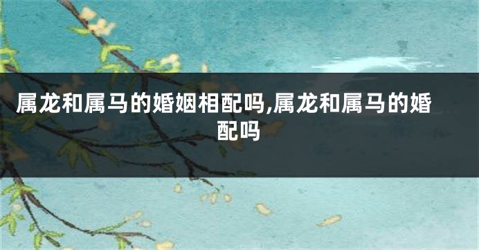 属龙和属马的婚姻相配吗,属龙和属马的婚配吗