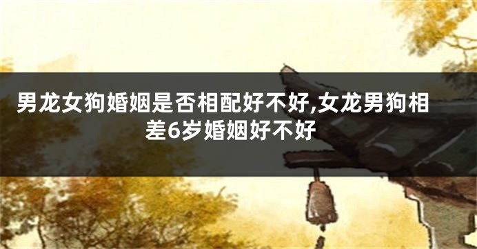 男龙女狗婚姻是否相配好不好,女龙男狗相差6岁婚姻好不好