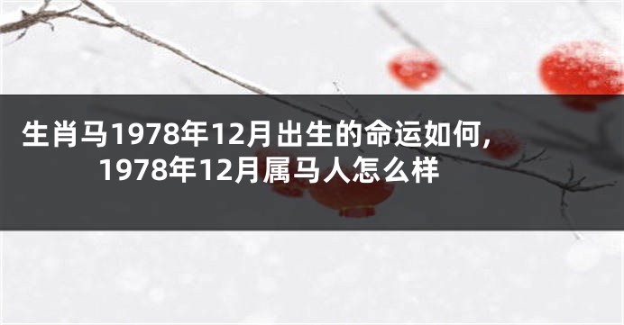 生肖马1978年12月出生的命运如何,1978年12月属马人怎么样