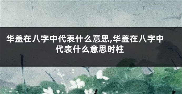 华盖在八字中代表什么意思,华盖在八字中代表什么意思时柱