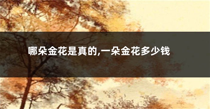 哪朵金花是真的,一朵金花多少钱