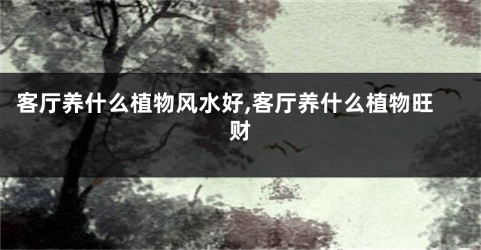 客厅养什么植物风水好,客厅养什么植物旺财