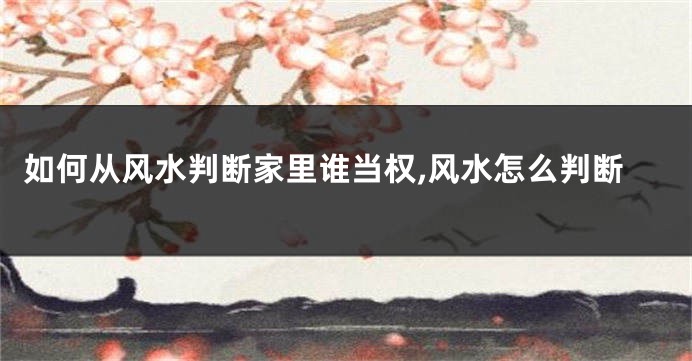 如何从风水判断家里谁当权,风水怎么判断
