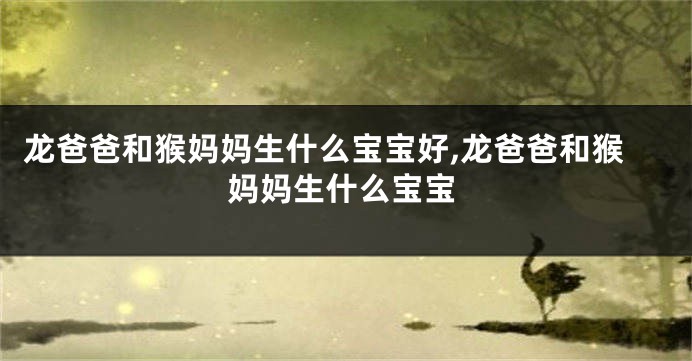 龙爸爸和猴妈妈生什么宝宝好,龙爸爸和猴妈妈生什么宝宝
