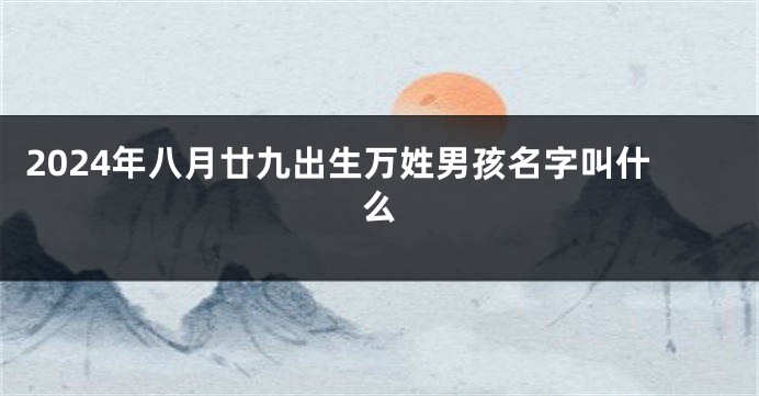 2024年八月廿九出生万姓男孩名字叫什么