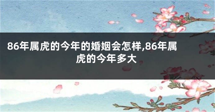 86年属虎的今年的婚姻会怎样,86年属虎的今年多大