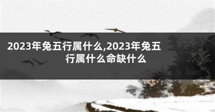 2023年兔五行属什么,2023年兔五行属什么命缺什么