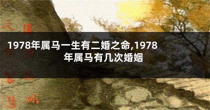 1978年属马一生有二婚之命,1978年属马有几次婚姻