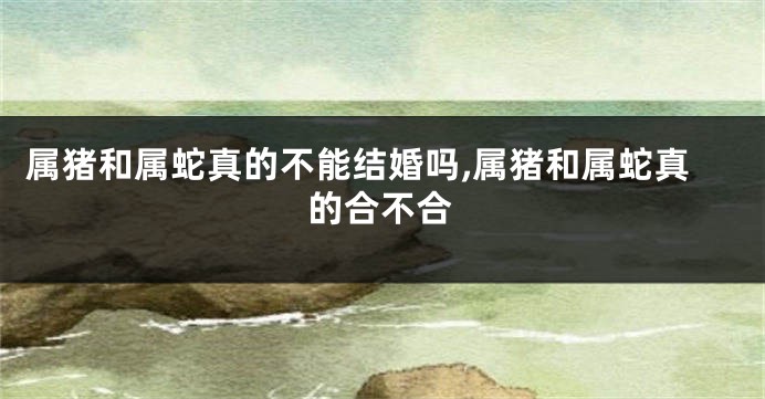 属猪和属蛇真的不能结婚吗,属猪和属蛇真的合不合