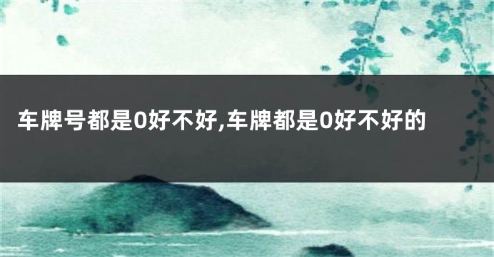 车牌号都是0好不好,车牌都是0好不好的