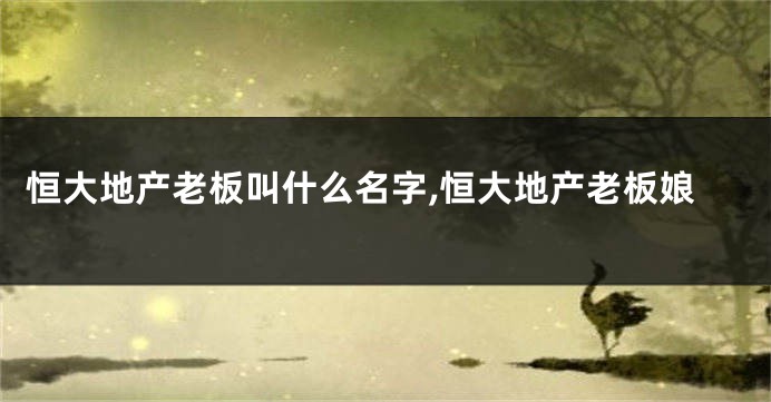 恒大地产老板叫什么名字,恒大地产老板娘