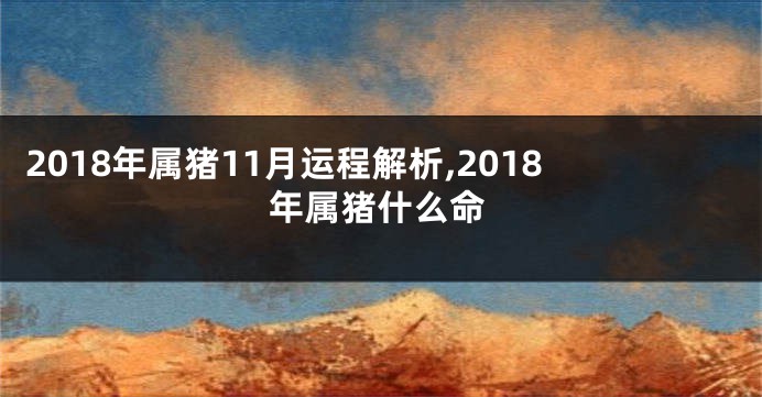 2018年属猪11月运程解析,2018年属猪什么命