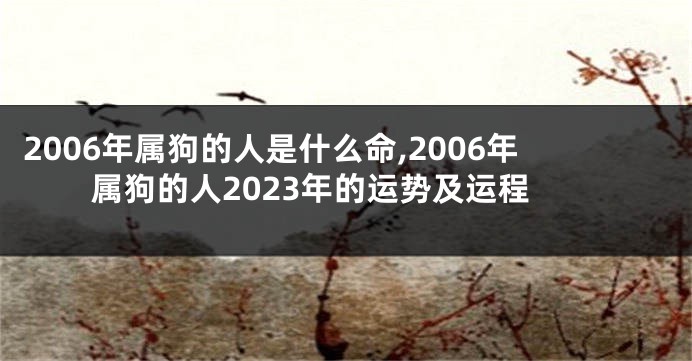 2006年属狗的人是什么命,2006年属狗的人2023年的运势及运程