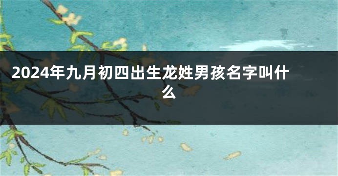 2024年九月初四出生龙姓男孩名字叫什么