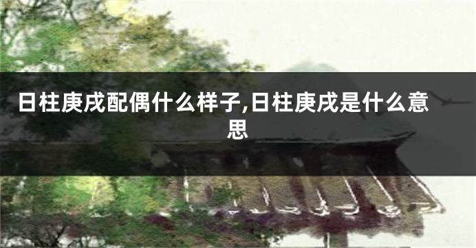 日柱庚戌配偶什么样子,日柱庚戌是什么意思