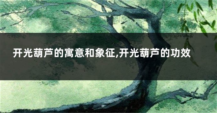 开光葫芦的寓意和象征,开光葫芦的功效
