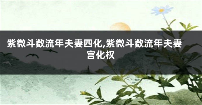紫微斗数流年夫妻四化,紫微斗数流年夫妻宫化权